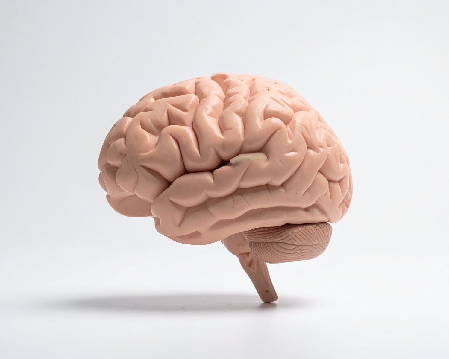 The On With Life Approach: Restoring Balance and Connection Through Chiropractic