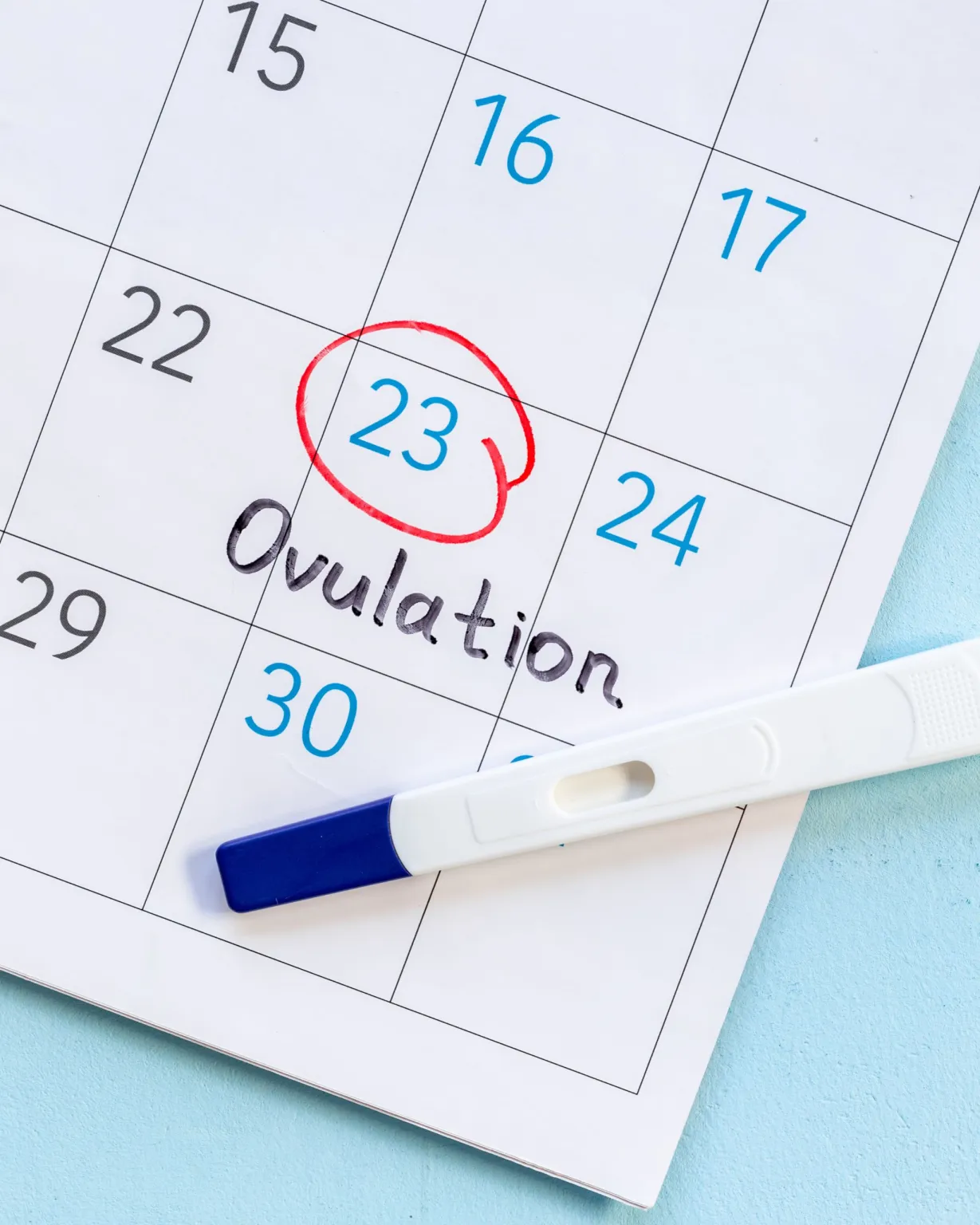 Doctor supporting fertility and hormonal balance through chiropractic in Lenexa, KS