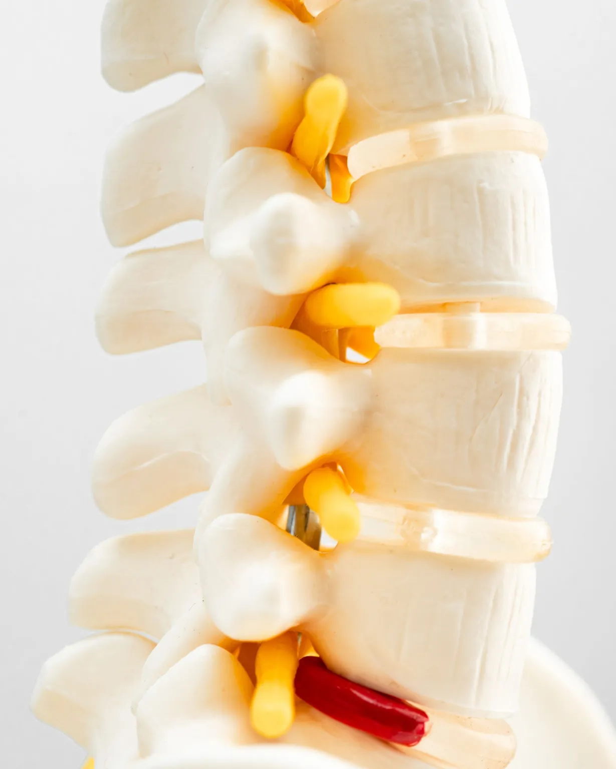 Doctor improving disc health and spinal alignment in Lenexa, KS